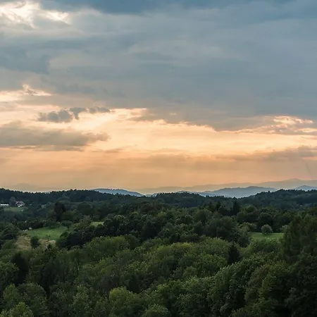 מלון Liebmann לאסניצהוה