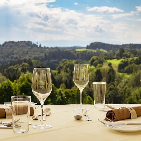 מלון Liebmann לאסניצהוה