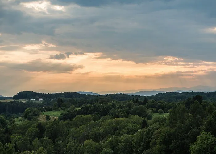 酒店 利布曼酒店 拉斯尼茨霍